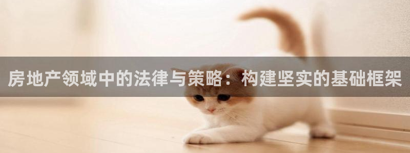新宝5娱乐手机登录：房地产领域中的法律与策略：构建坚实的基础
