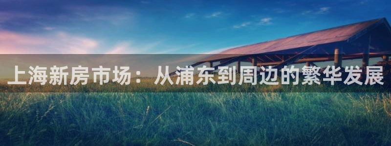 新宝h2O5O5O：上海新房市场：从浦东到周边的繁华发展