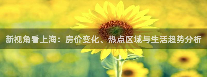 新宝5直属：新视角看上海：房价变化、热点区域与生活趋势分析