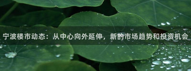 新宝5_测：宁波楼市动态：从中心向外延伸，新的市场趋势和投资