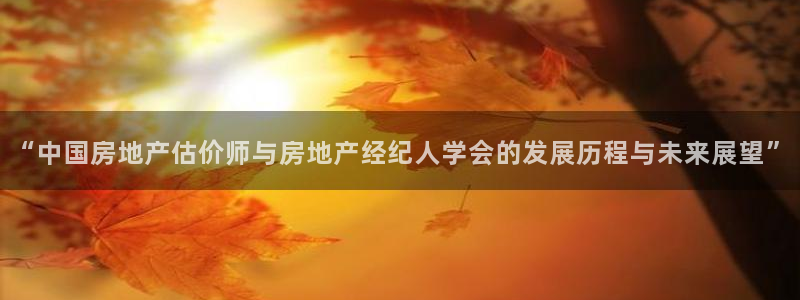 新宝5娱乐都：“中国房地产估价师与房地产经纪人学会的发展历程