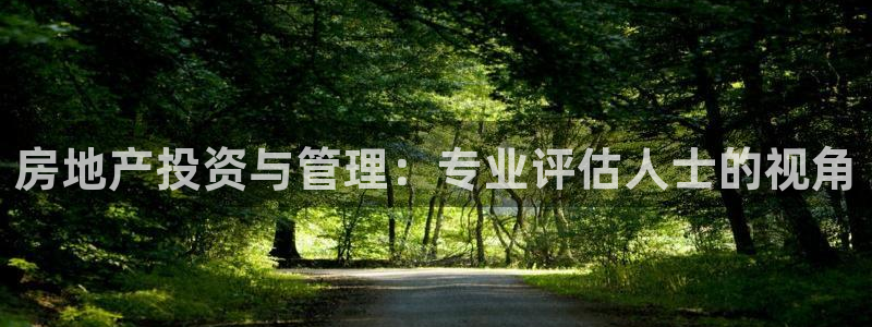 新宝5是谁的：房地产投资与管理：专业评估人士的视角