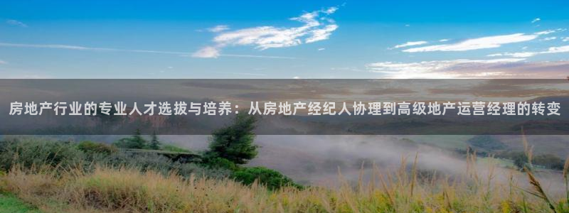 新宝新5：房地产行业的专业人才选拔与培养：从房地产经纪人协理