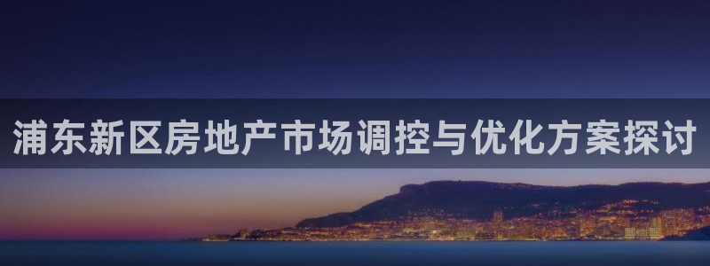 新宝5网站：浦东新区房地产市场调控与优化方案探讨