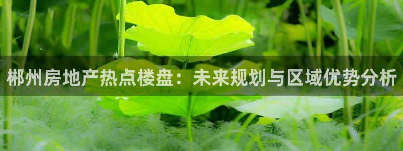 新宝5黑彩：郴州房地产热点楼盘：未来规划与区域优势分析