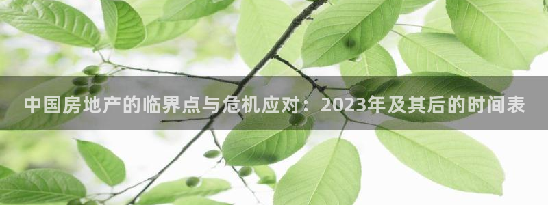 新宝奇迹GG5：中国房地产的临界点与危机应对：2023年及其