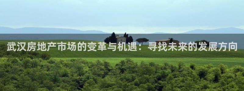 新宝5娱乐同：武汉房地产市场的变革与机遇：寻找未来的发展方向