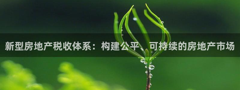 新宝5官网平台：新型房地产税收体系：构建公平、可持续的房地产