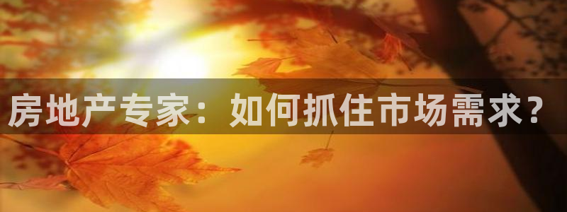新宝5代理注册：房地产专家：如何抓住市场需求？