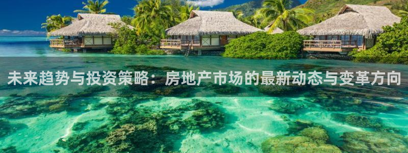新宝5褚32OO59：未来趋势与投资策略：房地产市场的最新动