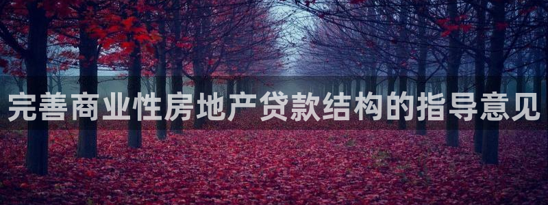新宝5得74OOO5：完善商业性房地产贷款结构的指导意见