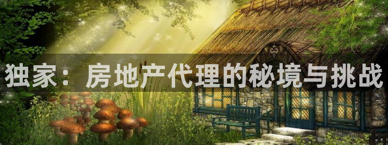 新宝5登陆地址：独家：房地产代理的秘境与挑战