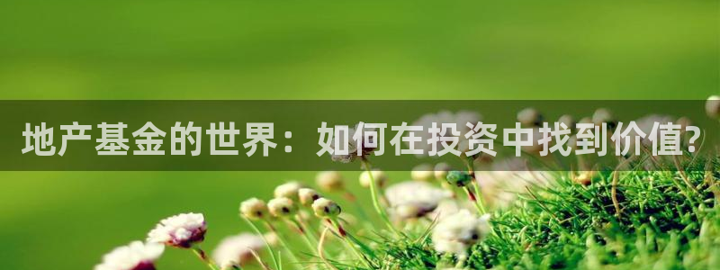 新宝5官网app：地产基金的世界：如何在投资中找到价值?