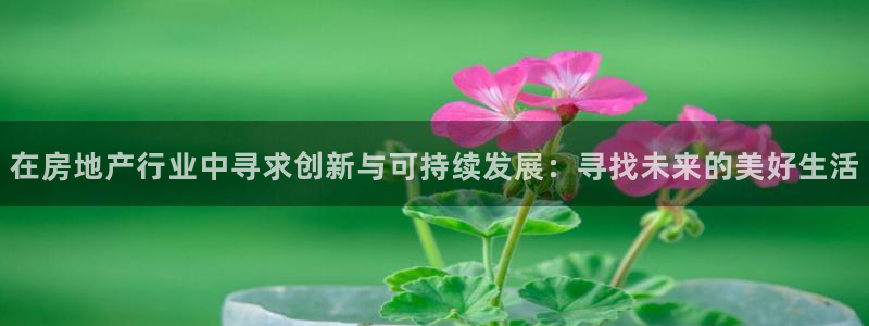 新宝5骗术：在房地产行业中寻求创新与可持续发展：寻找未来的美
